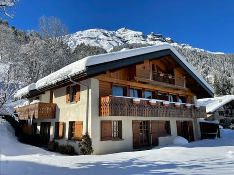 The Mountain House in winter