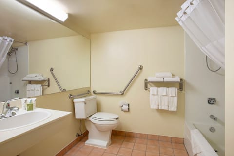 Room, 1 King Bed, Accessible, Non Smoking (Tub with Grab Bars) | Bathroom | Combined shower/tub, eco-friendly toiletries, hair dryer, towels