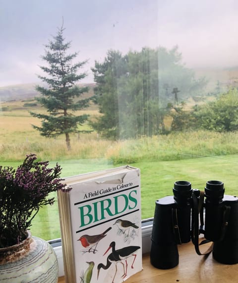 BIRD and wild animal watching. (Eagle, red kite, curlew, barn owl - deer, fox..)