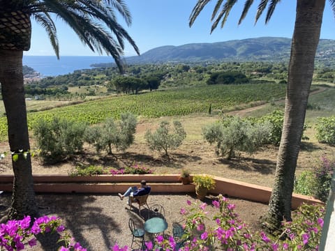 stunning view from upper living room