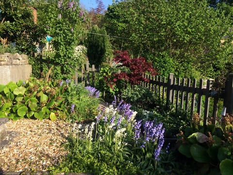 Lush green garden full of flowers and wild birds