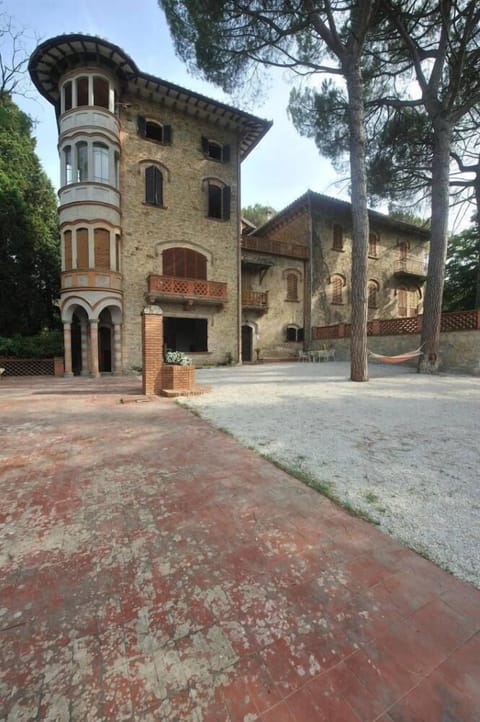 The front