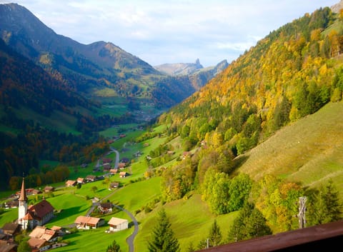 View from the Chalet to the valley