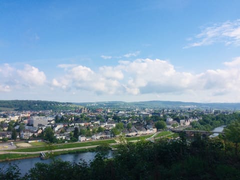 Ausblick vom nahegelegenen Wald 🌳 👆 über Trier