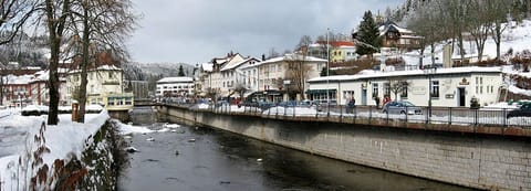 River Alb By LoKiLeCh (Own work) [GFDL (http://www.gnu.org/copyleft/fdl.html)