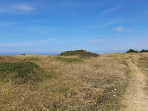 Hiking through the dunes