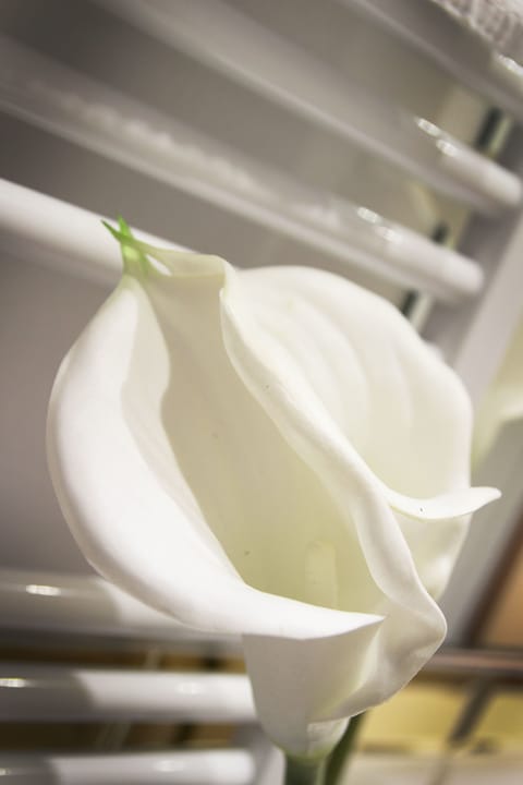 Standard Double Room (Grigia) | Room amenity