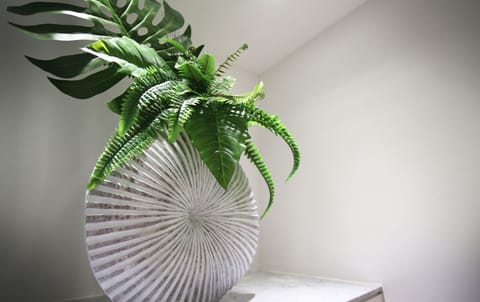 Deluxe Room, Kitchen | Room amenity