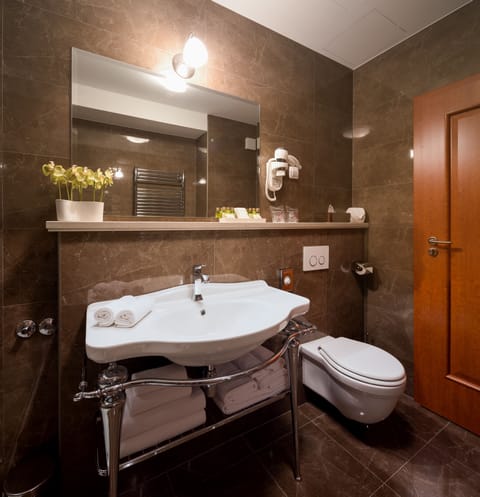 Double or Twin Room (103) | Bathroom | Shower, hydromassage showerhead, free toiletries, hair dryer