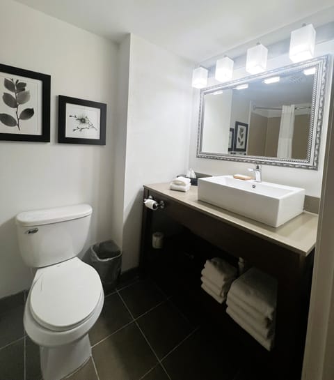 Studio Suite, 1 King Bed, Non Smoking | Bathroom | Free toiletries, hair dryer, towels