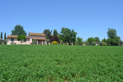 View House and campaign