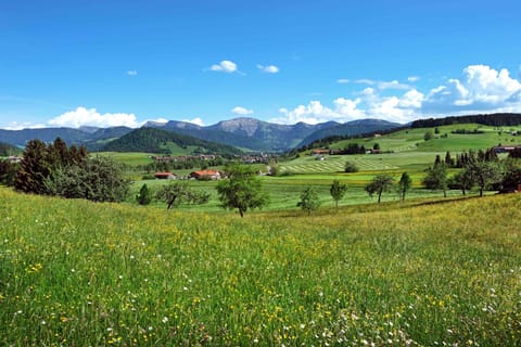 Land view from property