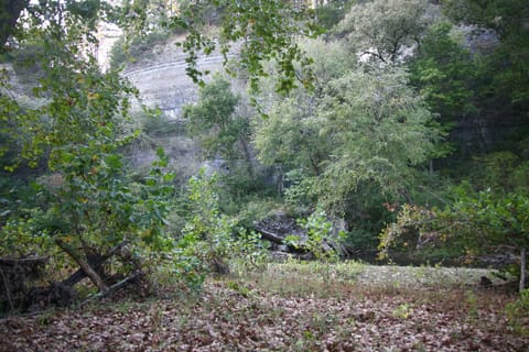Breathtaking View of River Bluff for amazing Eagle watching