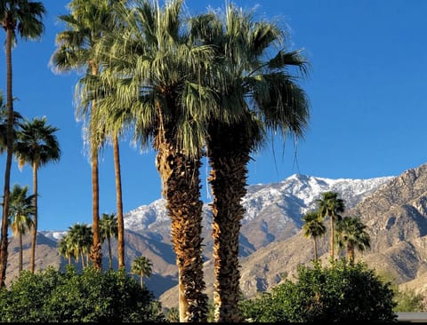 Snow Capped Mountains