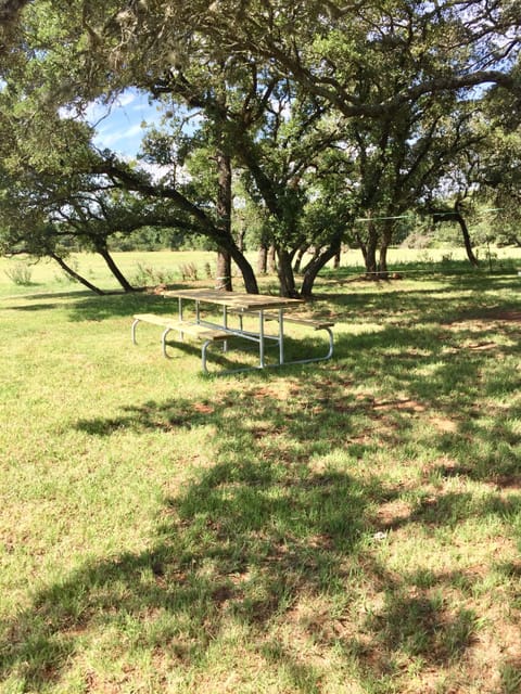one picnic table pictured; there are two 8-ft picnic tables in the grove of oaks