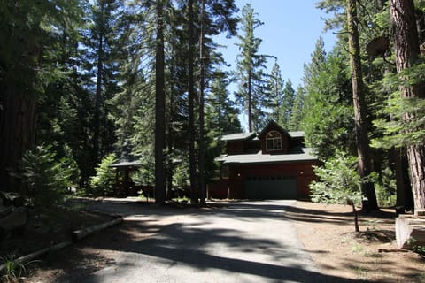 Front of house with flat driveway