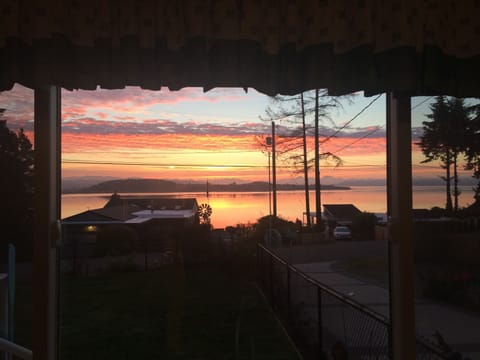 Another morning from the kitchen window/sink!