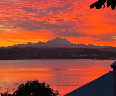 Fantastic sunrise views over the bay from the deck, living room + kitchen!