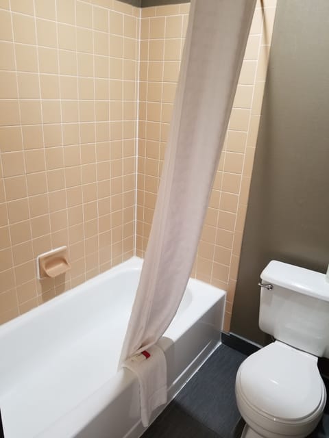 Combined shower/tub, free toiletries, hair dryer, towels