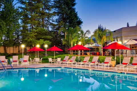 Outdoor pool, sun loungers