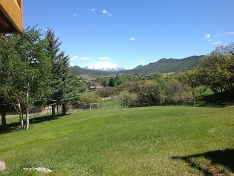 Let the kids play in the grass while you relax up on the deck!