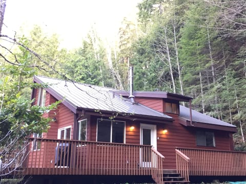 Enchanted Forest Cabin under morning sunshine 