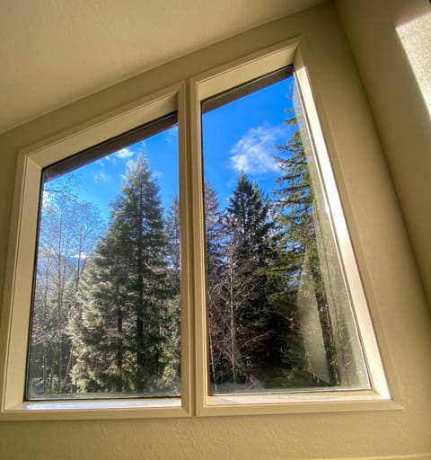 Summer view through the  picture window