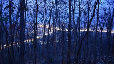 Pigeon Forge at dusk from November thru March