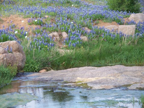 More Willow City Loop...bring a picnic & a bottle of Hill Country wine to enjoy