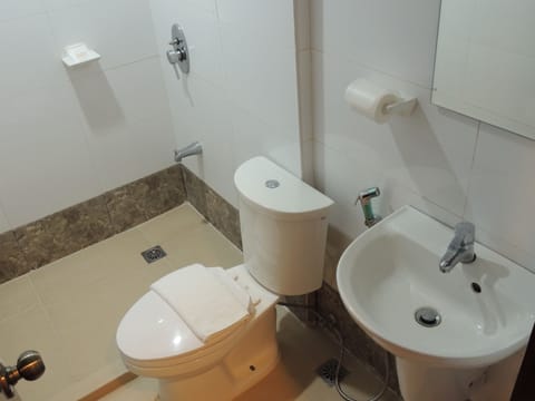 Deluxe Triple Room | Bathroom | Shower, free toiletries, bidet, towels