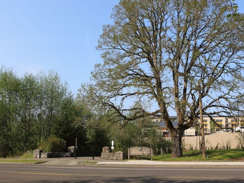 surrounded by hiking trail.