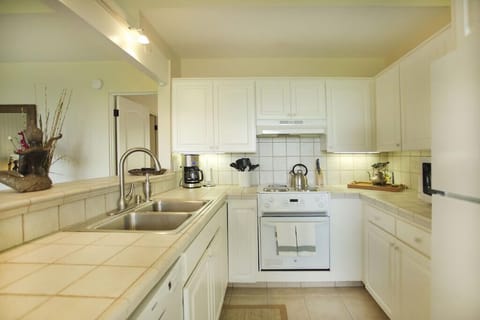 The Fully Equipped Kitchen is Light and Bright