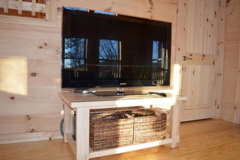 TV in the Living Room