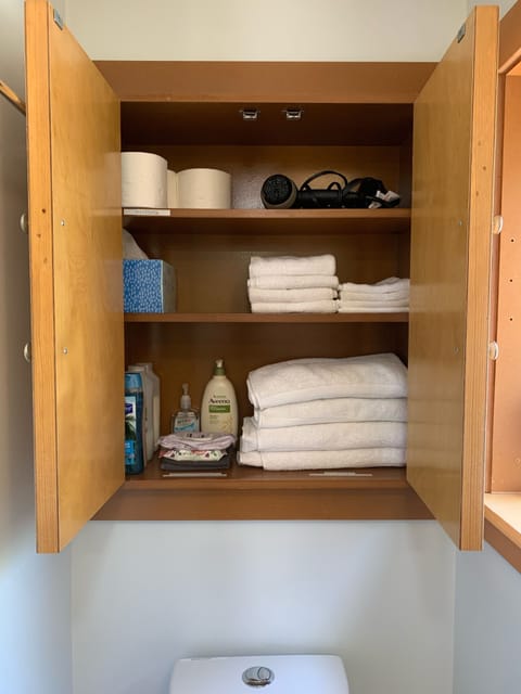 Bathroom cabinet (the rental comes with clean towels, hair dryer and toiletries)