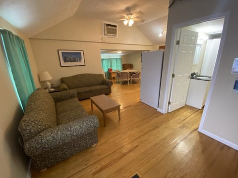 Living Room with Sleeper Sofa