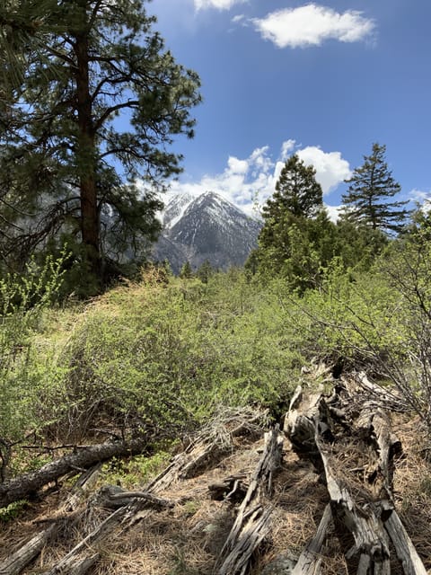View of Mt. Antero from property