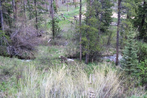 Views and sounds of the flowing creek are easily found from the front porch.