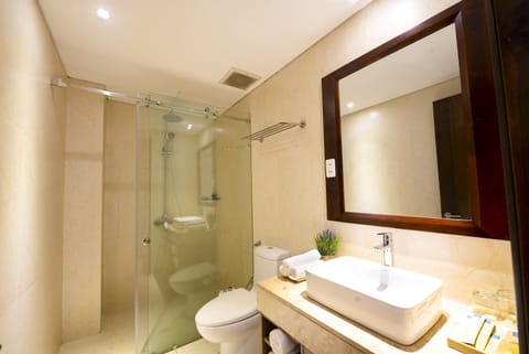 Superior Triple Room | Bathroom | Shower, free toiletries, hair dryer, bathrobes