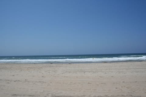 Mission Beach - Surfers and Dolphins!
50 steps from our building.