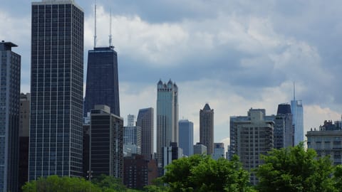 View from Lincoln Park (the actual Park)