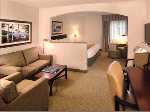 Executive Suite | View from room
