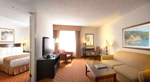 Suite, 1 Bedroom | Living room | 32-inch LCD TV with satellite channels, TV