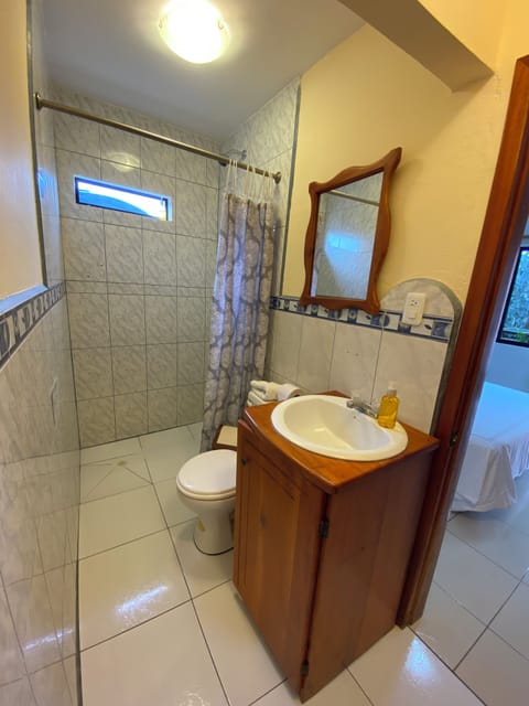 Standard Double or Twin Room | Bathroom | Shower, towels, soap, shampoo