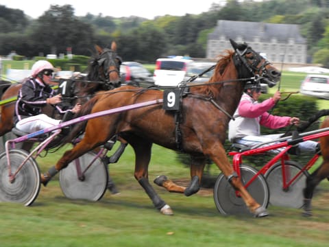 Hippodrome Josselin