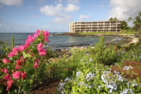 Kuhio Shores