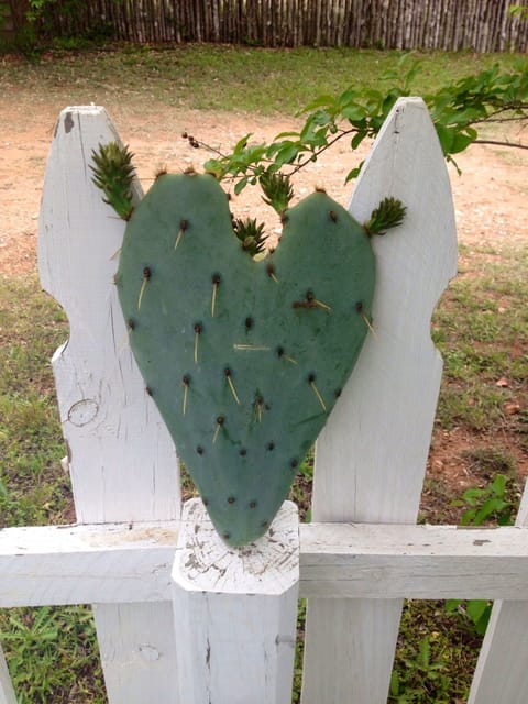 Love blooms even in nature
