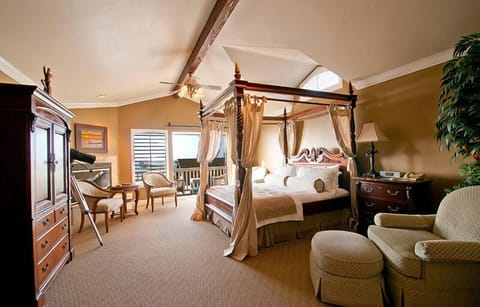 Hypo-allergenic bedding, individually decorated, individually furnished