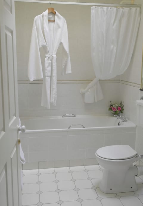 Combined shower/tub, free toiletries, hair dryer, towels