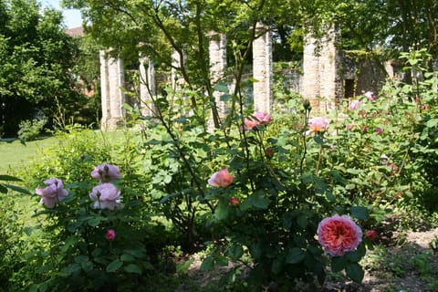 Orangérie in castle's garden near Casa Rambaldo