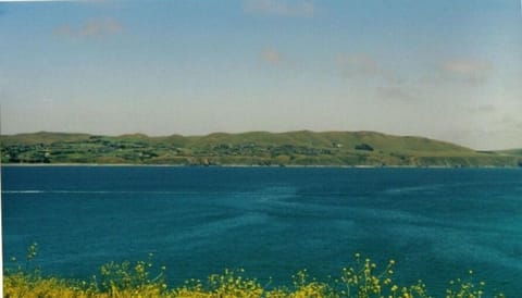 View From Bodega Head of Bodega Harbour